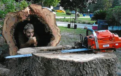 Tree removal